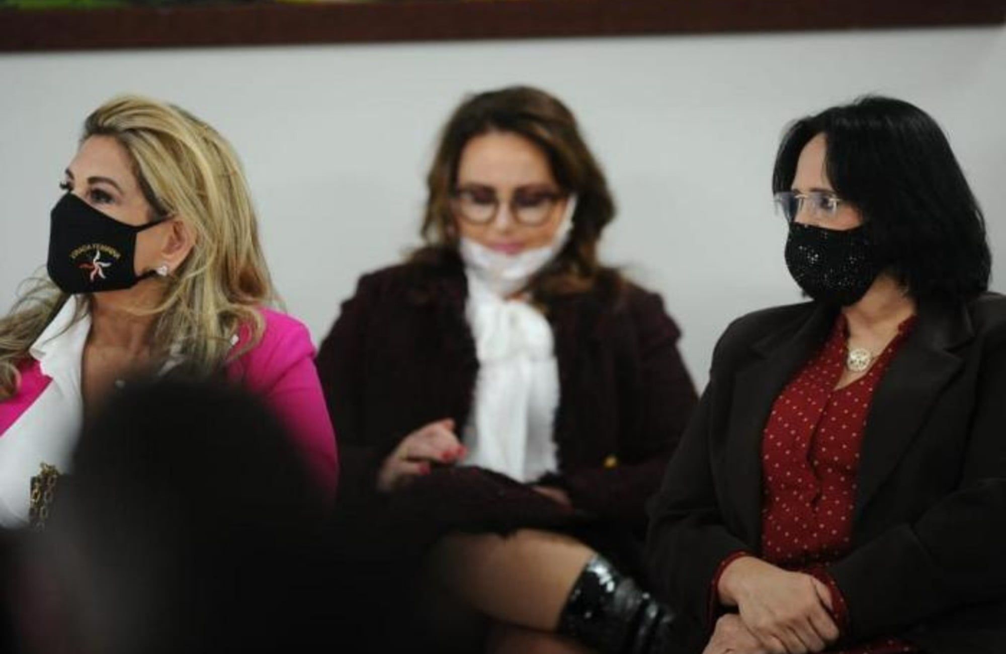 Programa Abrace o Marajó