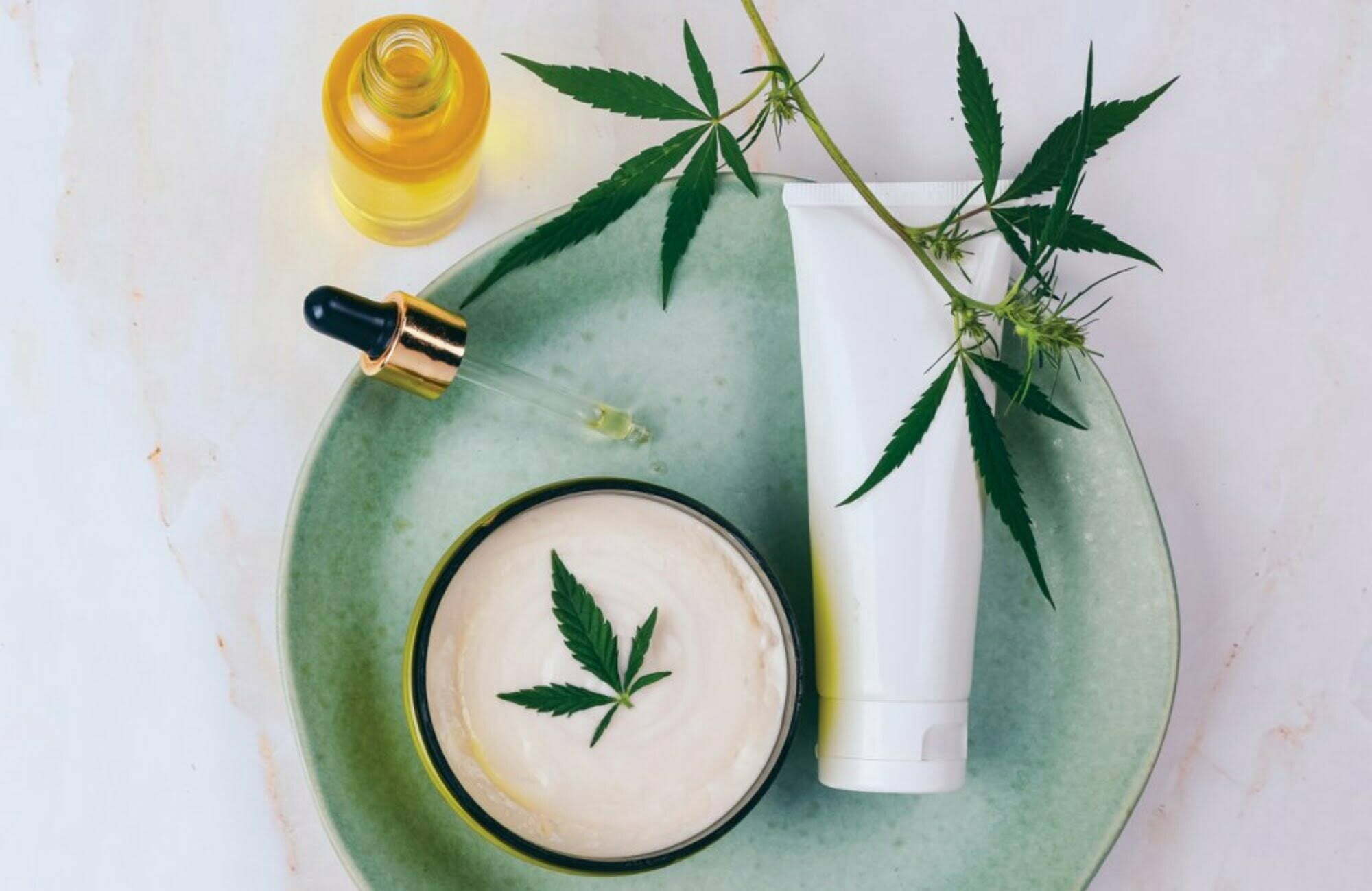 Canabidiol é alternativa terapêutica