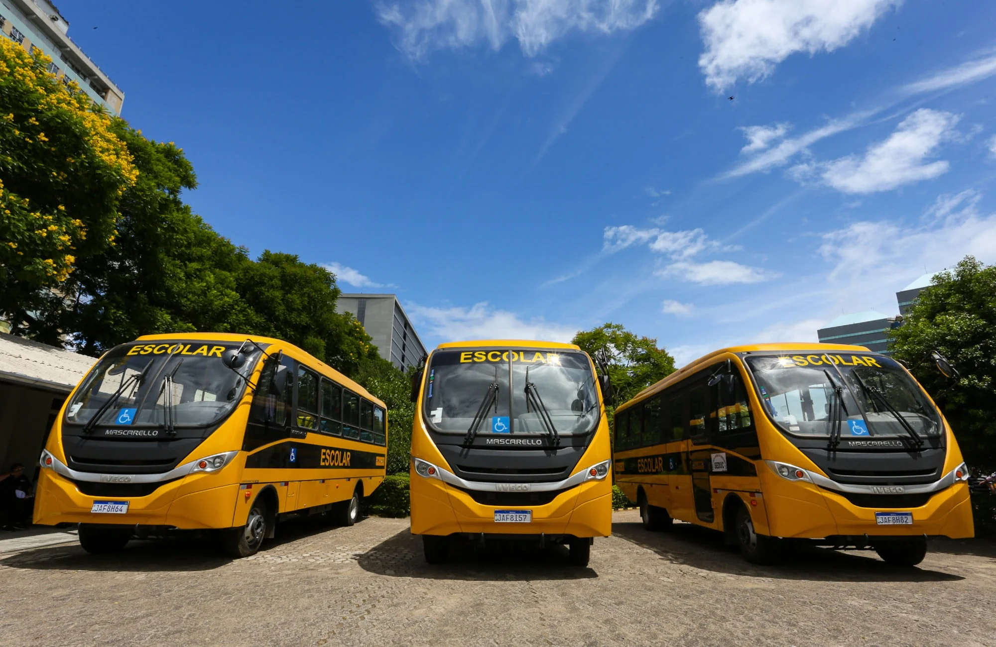 ônibus escolares