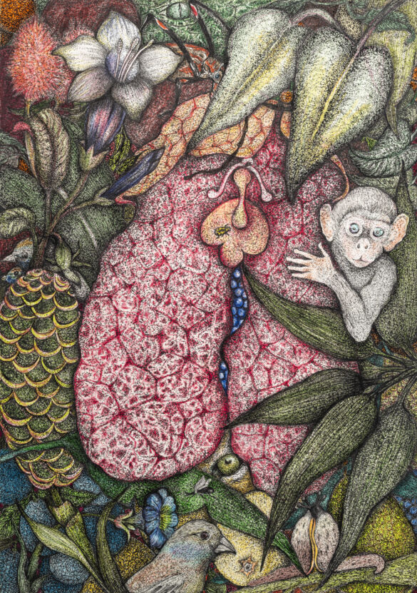 240331_104900_VivaFoto