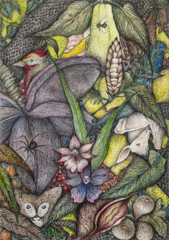 240331_105201_VivaFoto