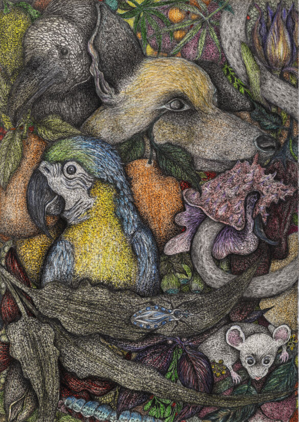 240402_182813_VivaFoto