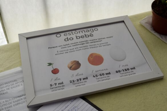 Cantinho da Amamentação no 52º Festival Internacional de Folclore de Nova Petrópol (5)