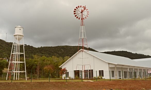 galeria2